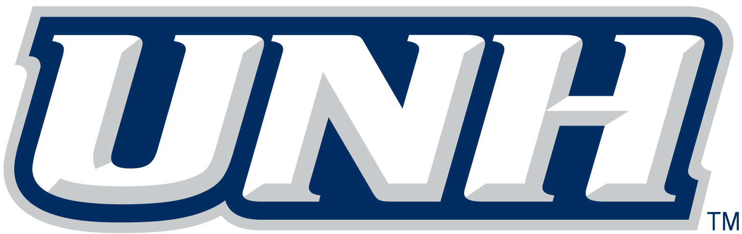 New Hampshire Wildcats 2000-Pres Wordmark Logo v3 diy DTF decal sticker